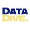 DataDive logo